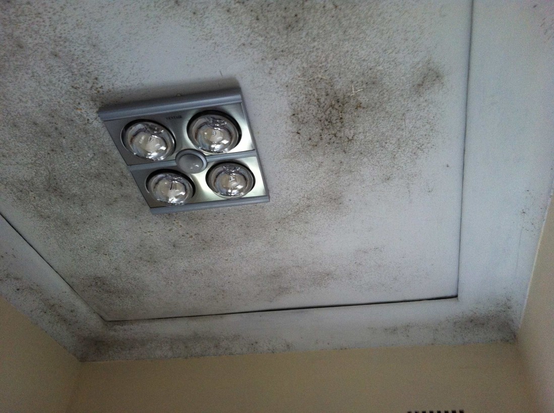 Mould Removal Experts - Pureprotect Pty Ltd