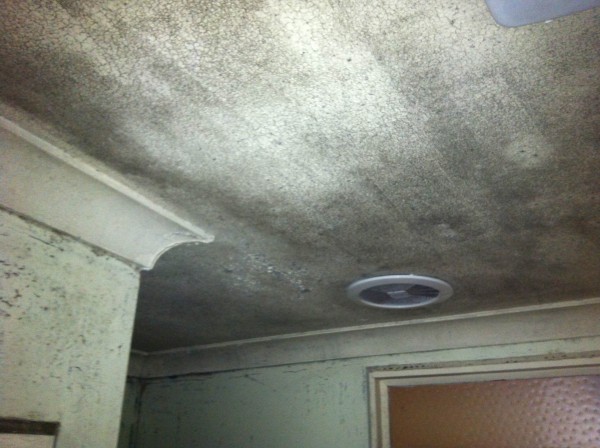 Mould Removal - Pureprotect Pty Ltd