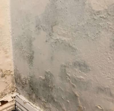 Damp Proofing - Pureprotect Pty Ltd