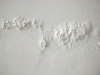 Rising Damp Services