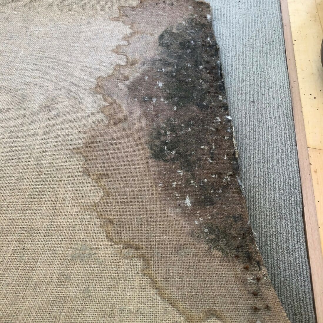 Water Damage To Carpet