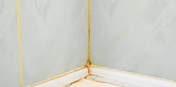 Dirty Seams Tiled Wall In The Bathroom, Yellow Mold In The Corner, Close-Up